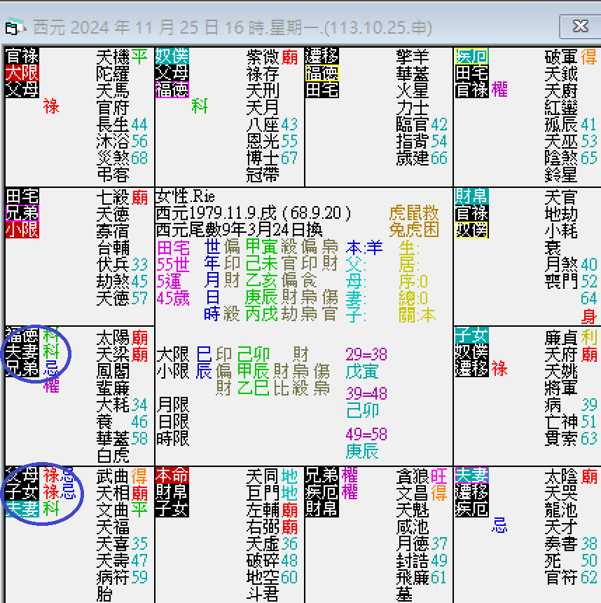 螢幕擷取畫面 2024-11-25 160248.png